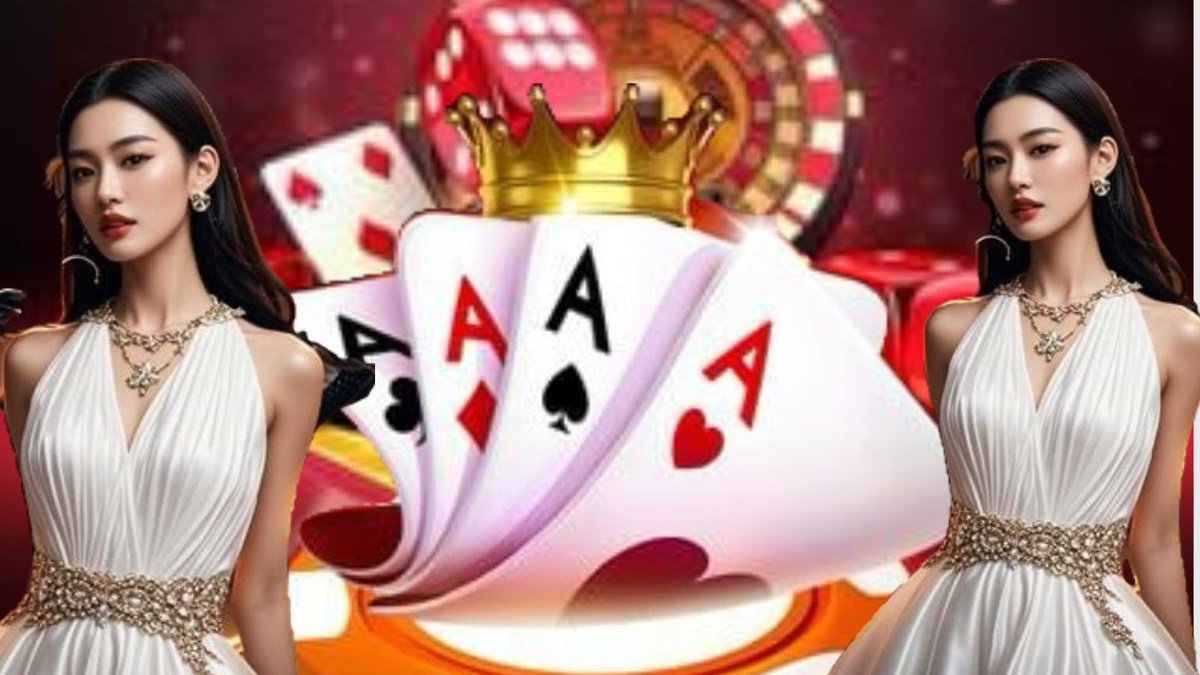 pinas77 login